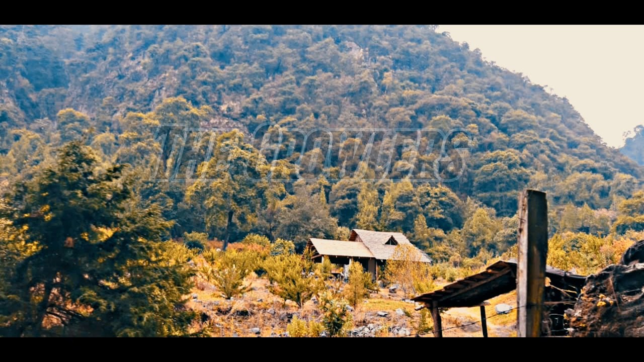 The growlers Natural Affair (Subtitulos Esp.) YouTube