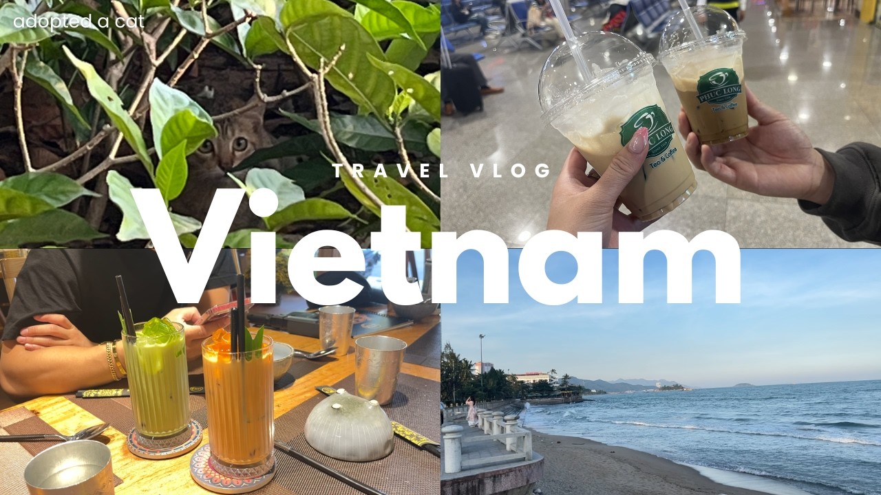 Almost Took Home A Cat? 🐈 — Nha Trang Eats | Vietnam Vlog 🇻🇳