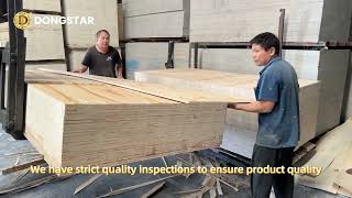 Dongstar® - CDX Pine Plywood