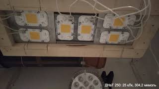 :  2 ().   250W     ( 50, 220)