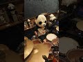 Tom , kick and snare with foot hihat #drums #drummer #meinl