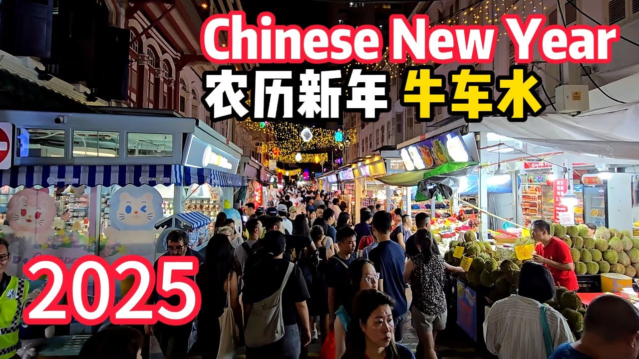 Singapore Chinatown Market - 2025 Lunar New Year Festival