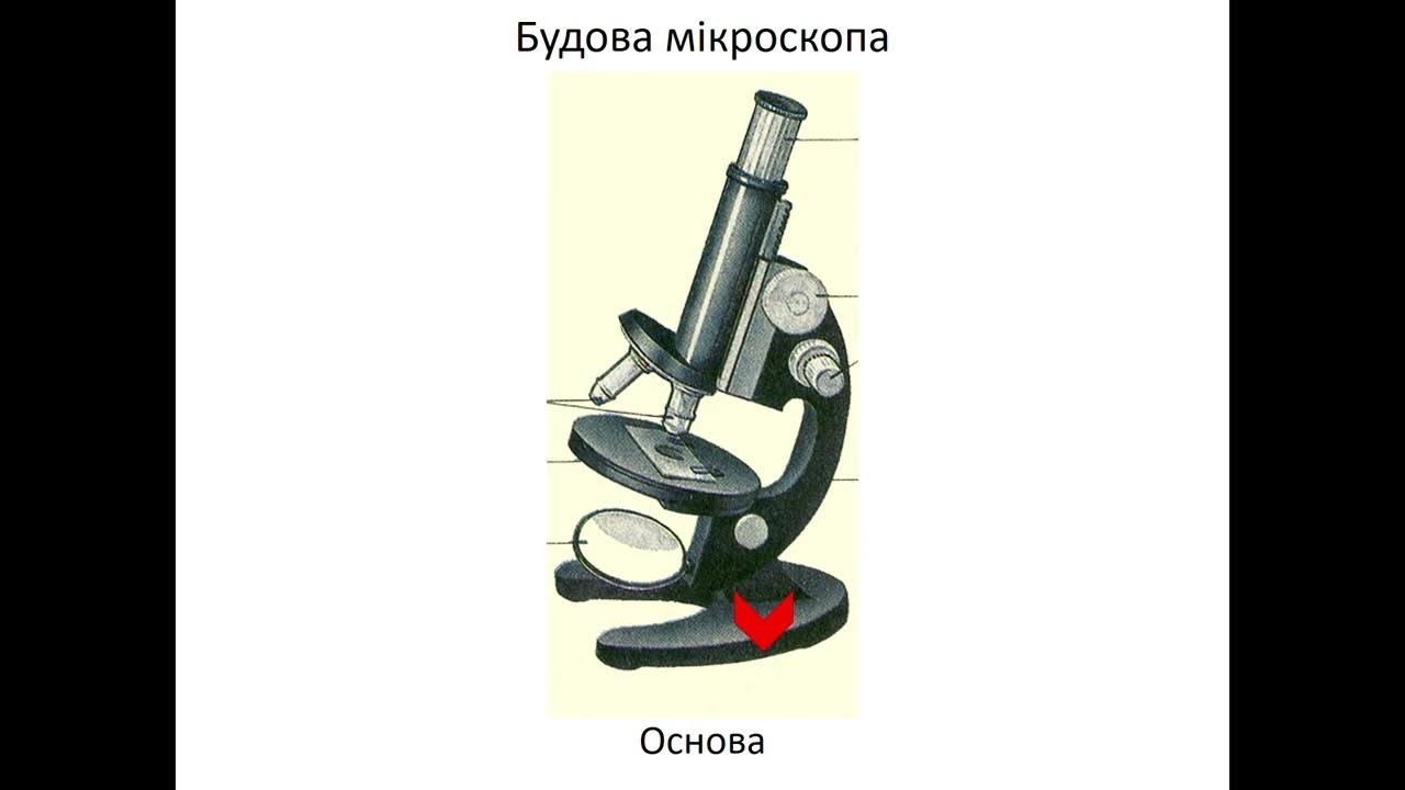 Зарисовать строение микроскопа. Строение школьного микроскопа 5 класс биология. что такое микроскоп и строение микроскопа 5 класс биология. биология 5 кл строение микроскопа. строение светового микроскопа 5 класс биология.