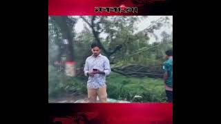 ঝড়ে গাছ পড়ে ঢাকা-চট্টগ্রাম মহাসড়কে তীব্র যানজট