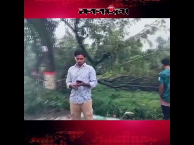 ঝড়ে গাছ পড়ে ঢাকা-চট্টগ্রাম মহাসড়কে তীব্র যানজট