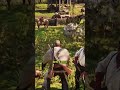 This is the only time Lenny didn’t help Arthur 😄
