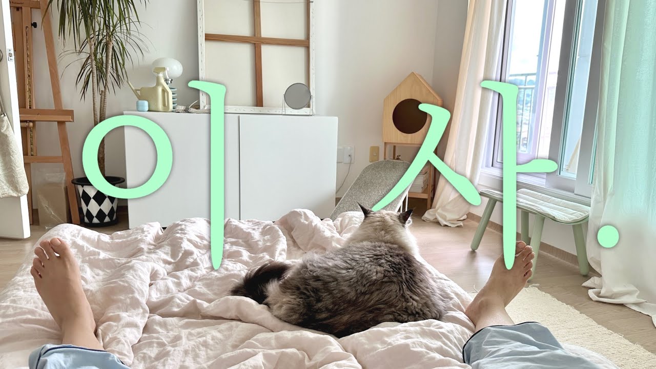 고양이들과 함께하는 이사 브이로그 🏠 (feat. 청년 버팀목 대출) 끝없는 정리와 청소🧹 입주청소 후기. 구축 아파트 올수리 첫 입주. 우리의 새 집 적응기