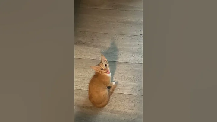 #famouspeople #Viral #subscribe #like #famousYouTubersco￼mment ￼￼￼