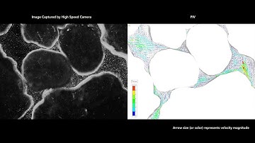 Inter-Particle Flow visualization using PIV