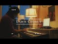 Thom Yorke - Dawn Chorus (an ambient cover)