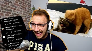 Si Vous Riez Pas, Ba Ma Vidéo Elle Est Éclatée Contre Un Mur Moi Jai Rié