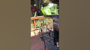 Etek 5 ramping 15bps