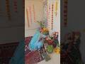 gangor pooja,#ytshorts #urmirathore#gangorefestival #viral