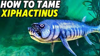 How To Tame Xiphactinus, Everything You Need To Know, Ark Survival Ascended Taming Guide