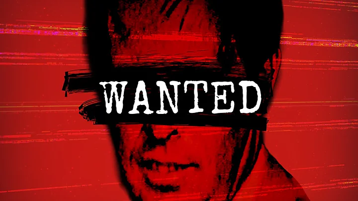 The Killer the FBI Couldn't Catch, But Random People Did