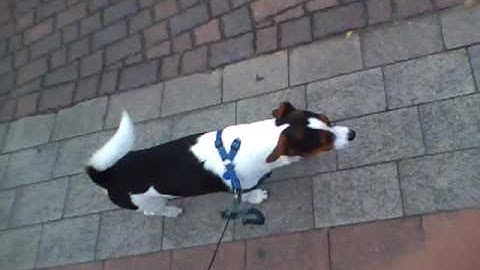 iPod Nano 5G Video Camera Test