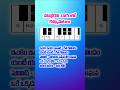 Nata Bhairavi Ragam #piano #music #pianotutorials #keyboardtutorial