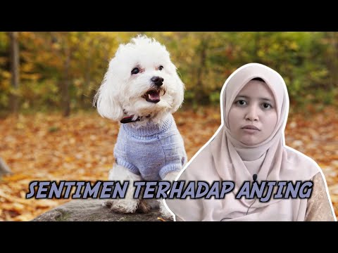 Video: Mentaliti Pek: 5 Petua Hidup Dengan Sekumpulan Anjing