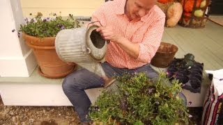 Planting Tulip Bulbs in Containers | At Home With P. Allen Smith