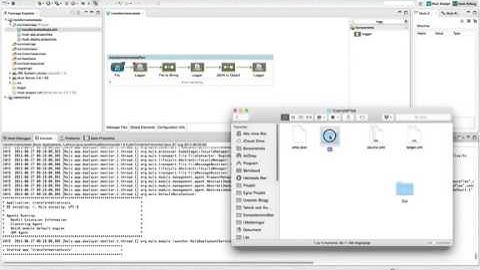 Mule ESB Basic Transformers