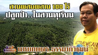 สวนผสมผสาน 100 ไร่ "ปลูกป่า..ในสวนทุเรียน" นายเกษตร ธรรมาภิวัฒน์//สามอาชีพฯ