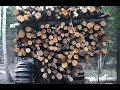 Ponsse Buffalo logging in wet spring forest, big load