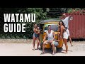 Visit watamu the complete guide to our home in kenya