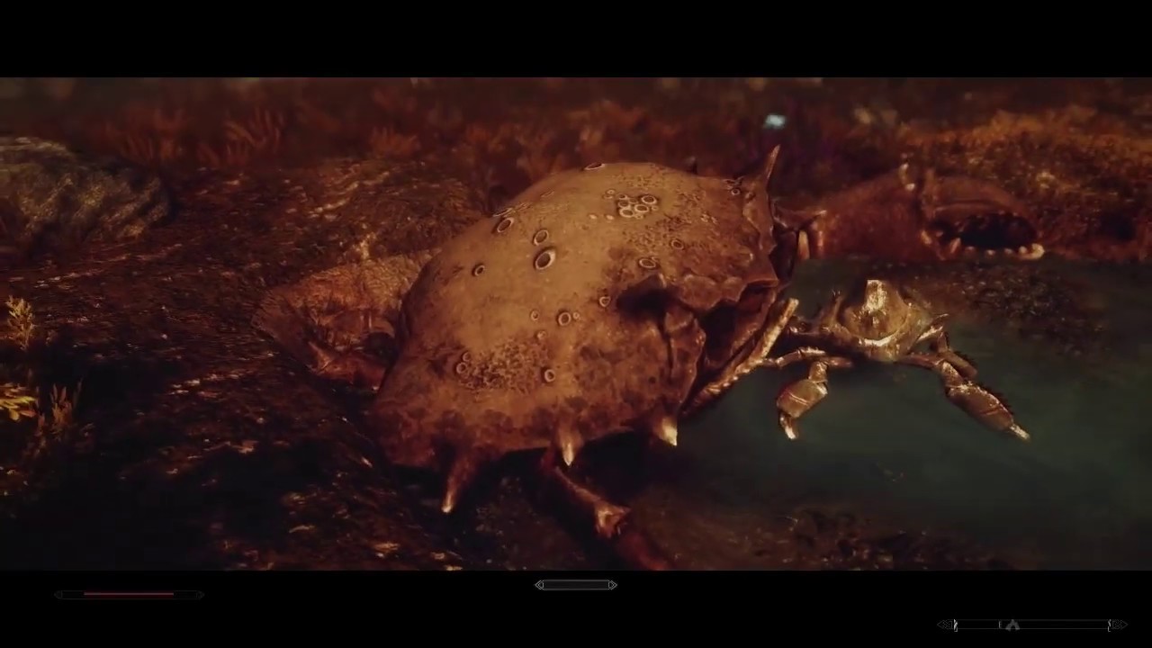 Froki SKYRIM: Froki Combats - YouTube