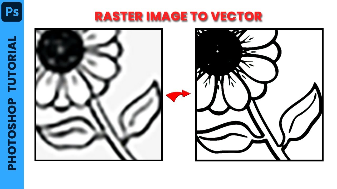 Low Resolution Raster Images Photoshop tutorial | How to convert raster image to vector image | low ...