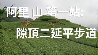 Vlog 雷克斯Rex | 阿里山第一站:隙頂二延平步道