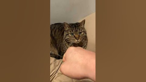 punching a random object everyday- day 131