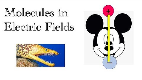 Interatomic Forces Part 6: Molecules in Electric Fields