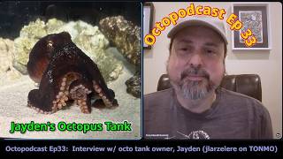 Interview with an Octopus Keeper (jlarzelere) | Octopodcast Ep33