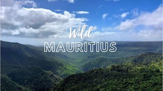 MAURITIUS - WHAT TO DO