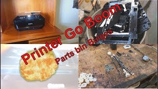 Canon Printer - Explodes into hundreds of parts