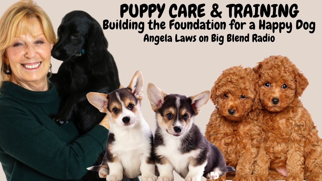 Puppy Care & Training: Building the Foundation for a Happy Dog