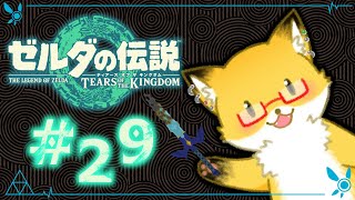 #29【ゼルダの伝説　ティアーズ オブ ザ キングダム】だらだらとチャレンジとかストーリー進める！【ちゅうけんぽちこう】
