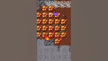 Tibia Time Boosted Series: Exotic Cave Spider! 🕷️ #tibia #gaming #shorts