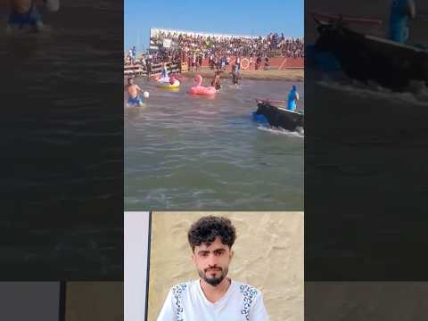 حين يفقد الثور هدوءه لا يرحم أحد مشهد مليء بالإثارة والعبرة
