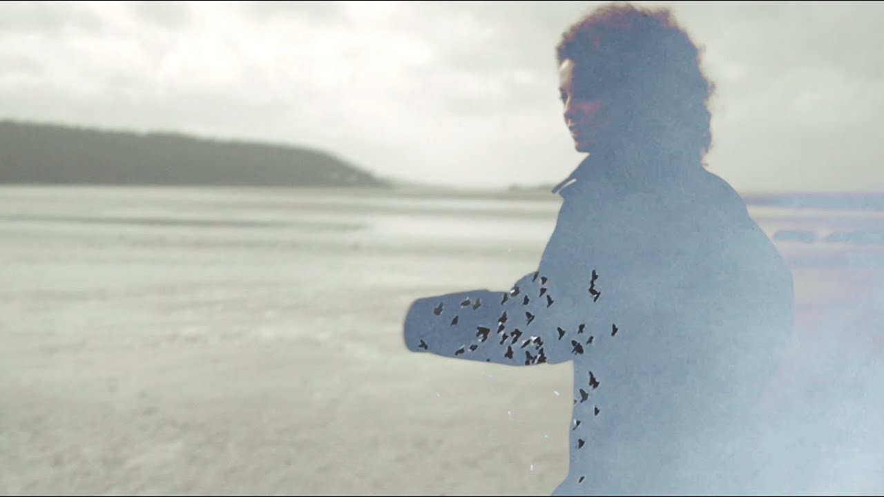 YouTube에서 Anna B Savage - Corncrakes (Official Video) 보기 YouTube에서 Anna B Savage - Corncrakes (Official Video) 보기