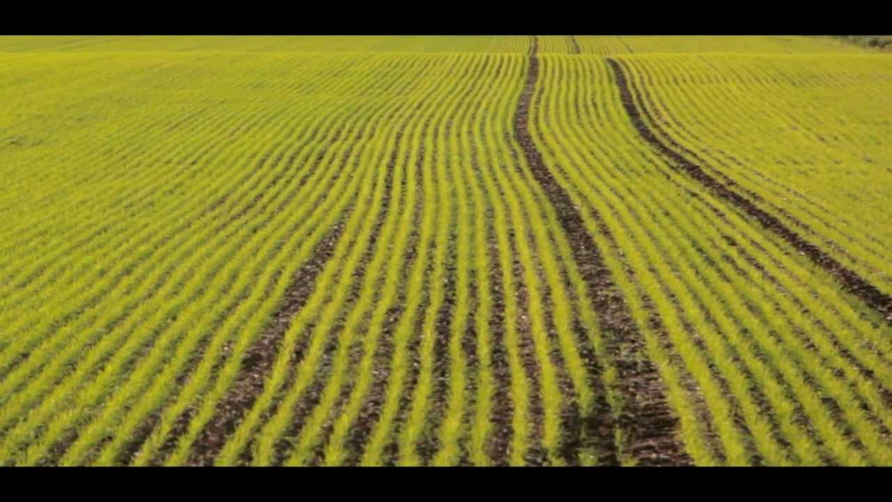 Canon 600D / T3i Technicolor CineStyle Picture Style Test EFS 18