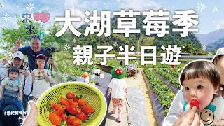 大湖採草莓，親子半日遊，大湖草莓季來到了尾聲，趕緊來走走看看吧！來來草莓園，苗栗客家菜:福樂麵店。SonyA6400+ SELP1020G PZ 10-20mm F4