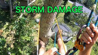 Tornado storm cleanup