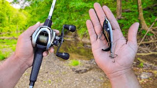 ONE HOUR of RAW and UNCUT Topwater Bass Fishing (In a Creek)