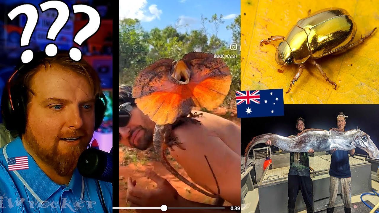 Эти вещи в Австралии просто не поддаются логике.