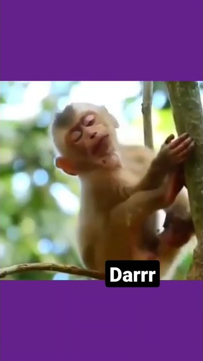 Hiduplah Engkau Denganku...hihihi Darrrr...