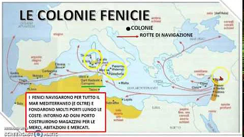 Come erano organizzate le colonie fenicie?