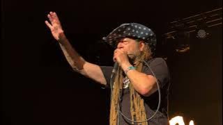 Circle Jerks, Wild in the Streets live at Coachella 2025