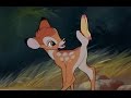 Bambi - Bambi e la farfalla - Clip dal film in lingua originale