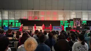 GUBREAL 【DDCJ2019】